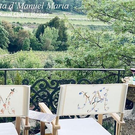 Amarante-Quinta D'Manuel Maria, Rural Charm Houses エクステリア 写真