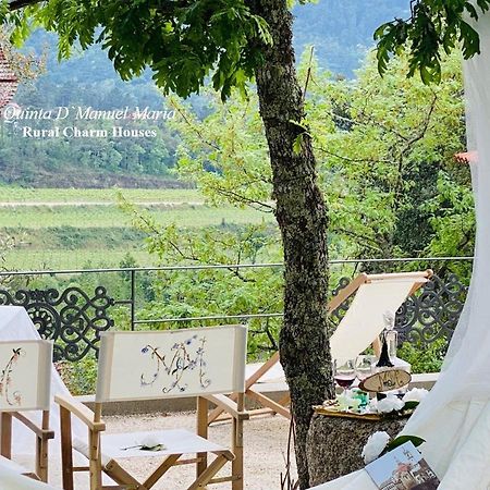 Amarante-Quinta D'Manuel Maria, Rural Charm Houses エクステリア 写真