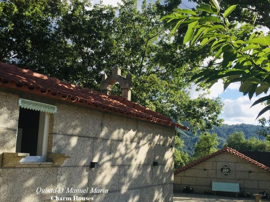 Amarante-Quinta D'Manuel Maria, Rural Charm Houses エクステリア 写真