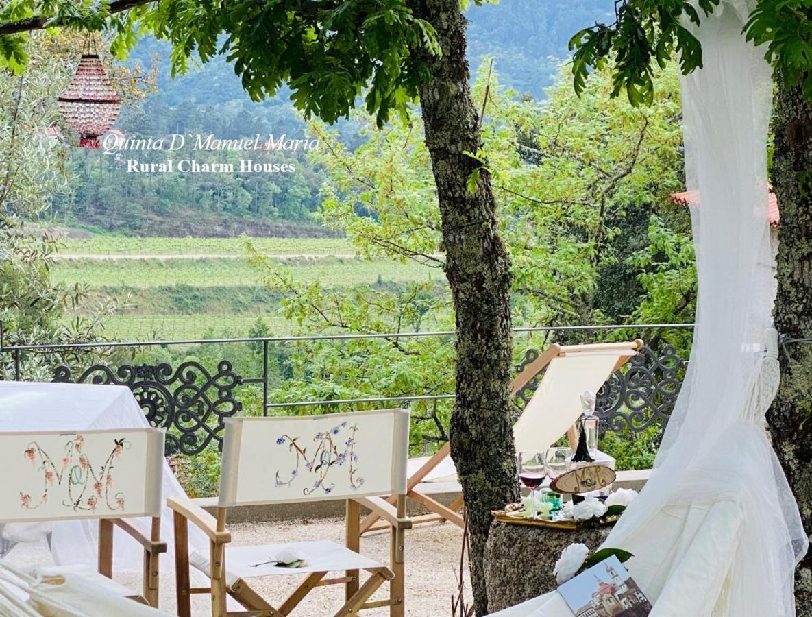 Amarante-Quinta D'Manuel Maria, Rural Charm Houses エクステリア 写真